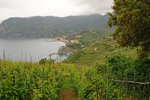 CLICK PHOTO TO SEE MORE OF BEAUTIFUL CINQUE TERRE