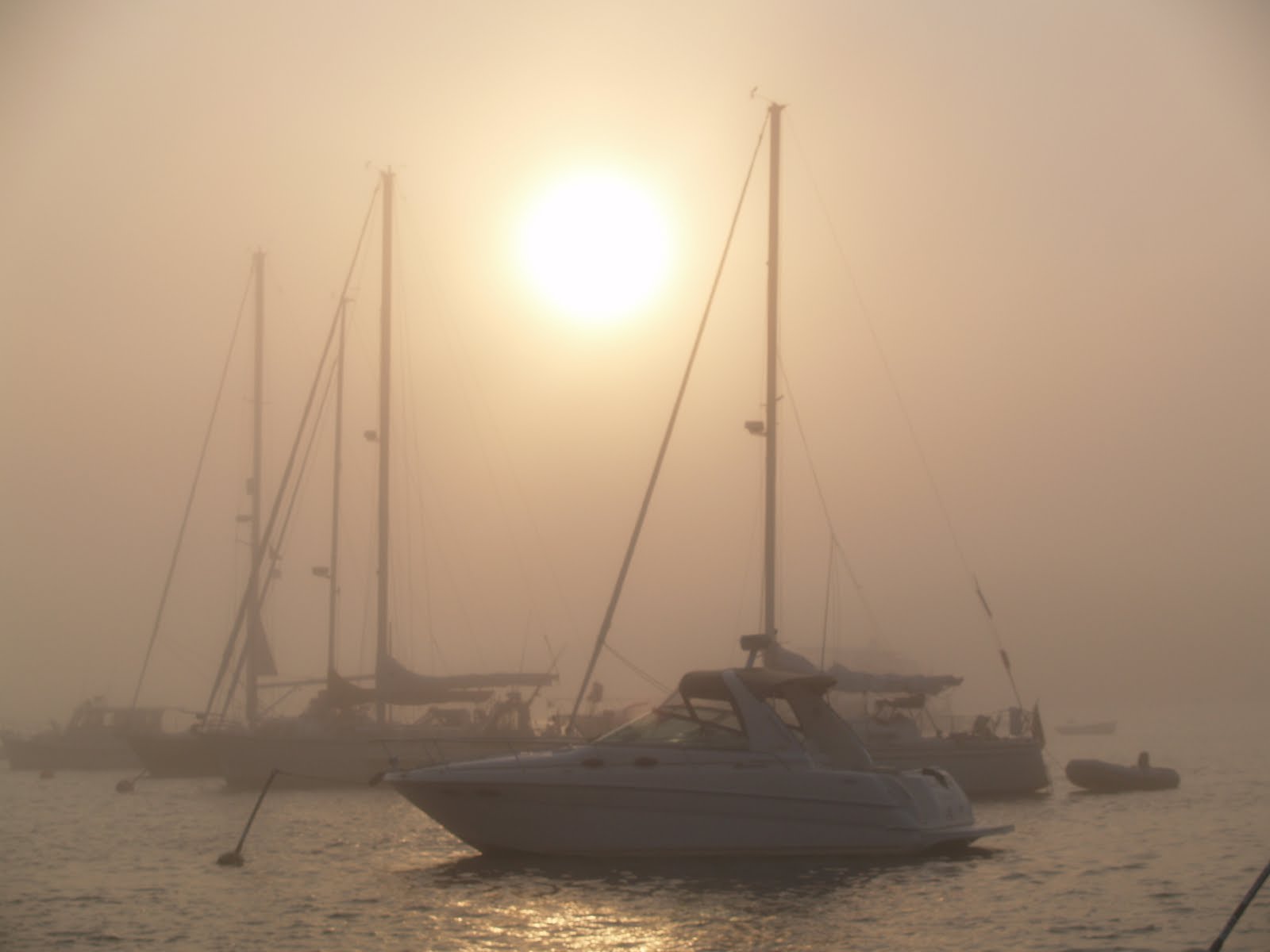[cuttyhunk+fog.jpg]