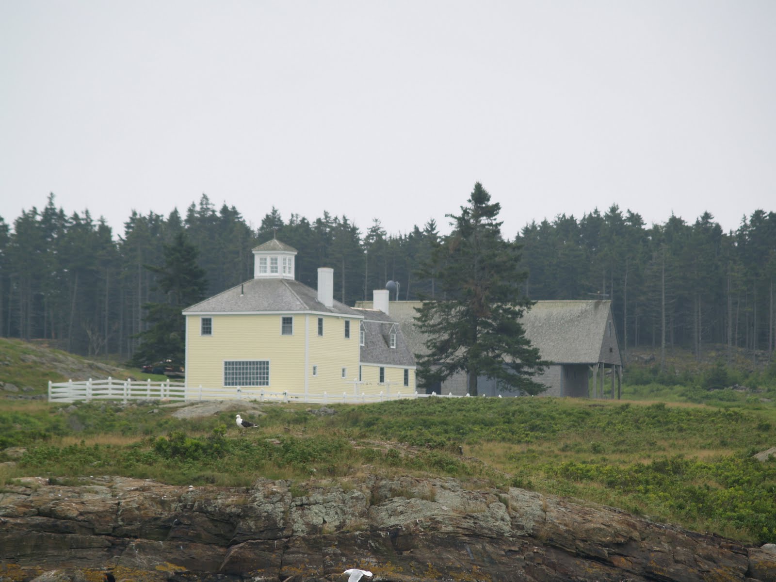 [wyeth+1.jpg]