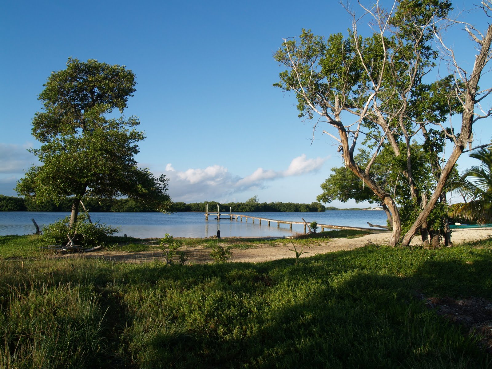 [Grassy+Key+FL+011.JPG]