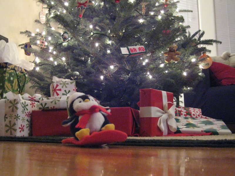 [penguin+man+guarding+the+tree.JPG]