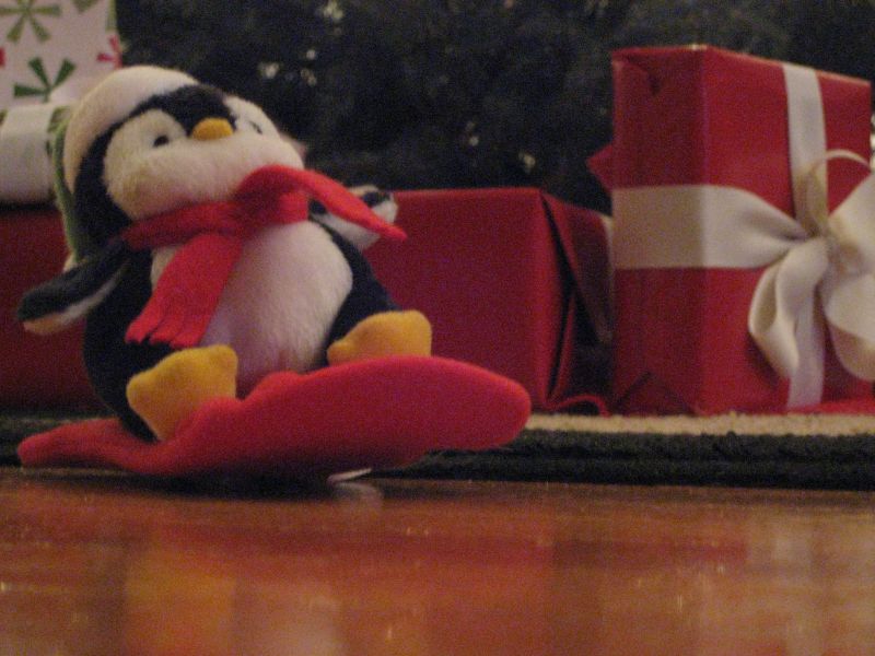 [sldding+penguin.JPG]