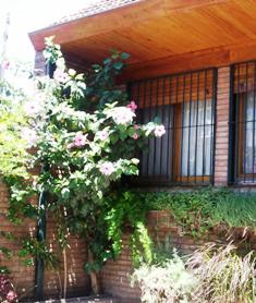 11 DIC 07 VOVIENDO DE AUDIENCIA EN SAN ISIDRO ME DETUVE A FOTOGRAFIAR FOLRES ROSADAS