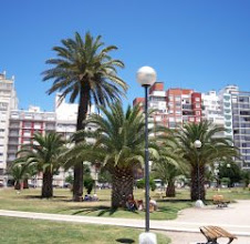 Plaza Colón - Mar del Plata
