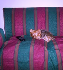 Maguie en sillón Mar del Plata