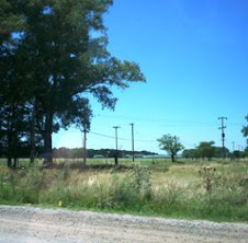 MARCOS PAZ CUESTA MUCHO DINERO Y DA MUY POCO