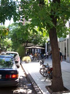 COFFEE STORE CASA DEL ÁNGEL