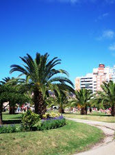 MAR DEL PLATA PLAZA COLÓN