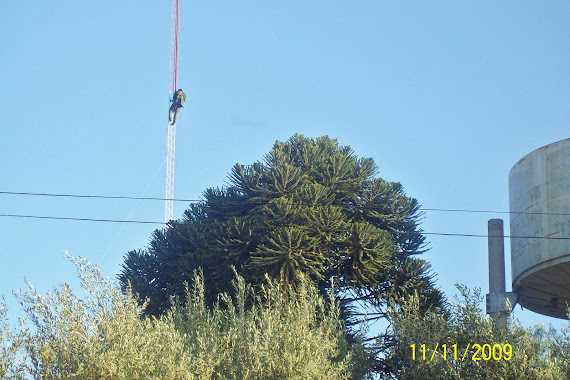 Se ha solicitado el servicio de Internet  Marzo 2010