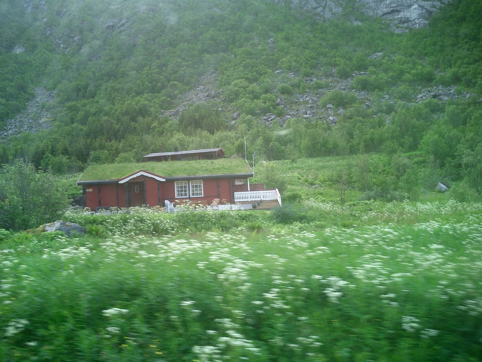 [CIMG5953.JPG]