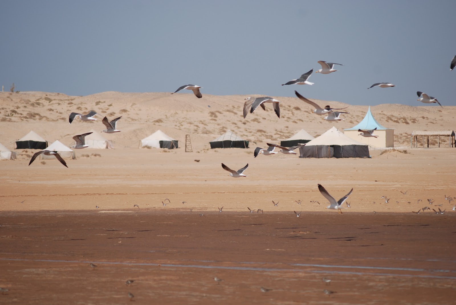[DSC_3232.JPG]