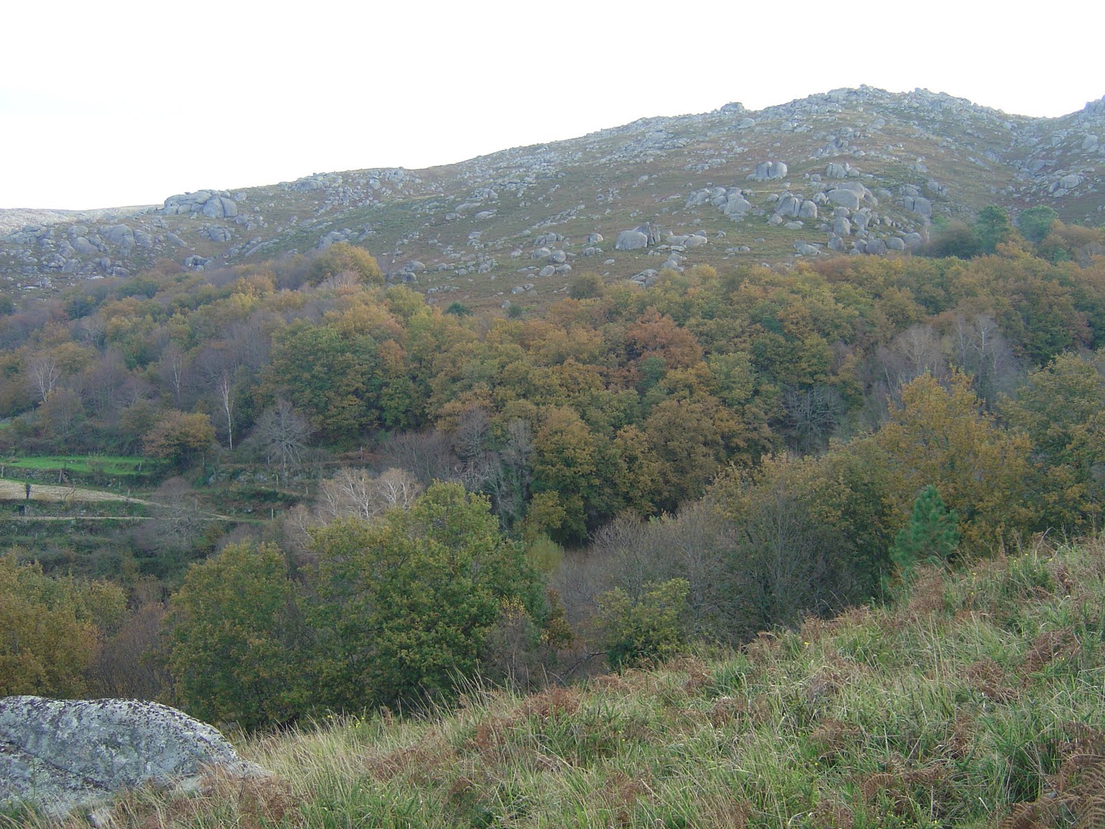 [DSC02024.JPG]