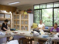 Fofoletes trabalham!!!