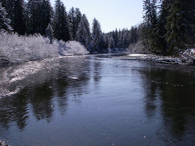 Live Free Or Die Steelhead Back Roads The Situk River Alaska