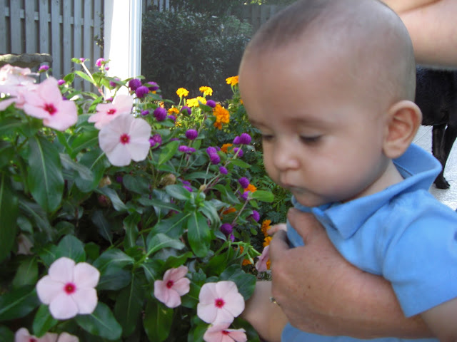 Jacen gardening in Big brother's garden