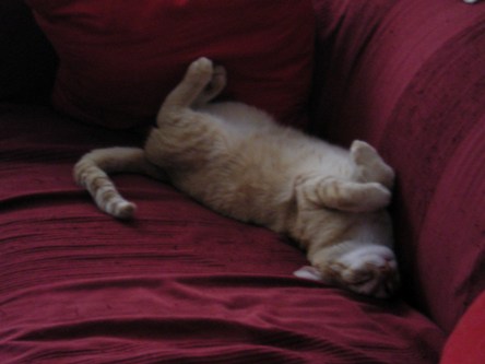 [Siesta1.JPG]
