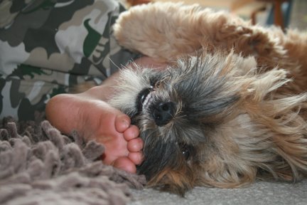 [November+012-781638.jpg]