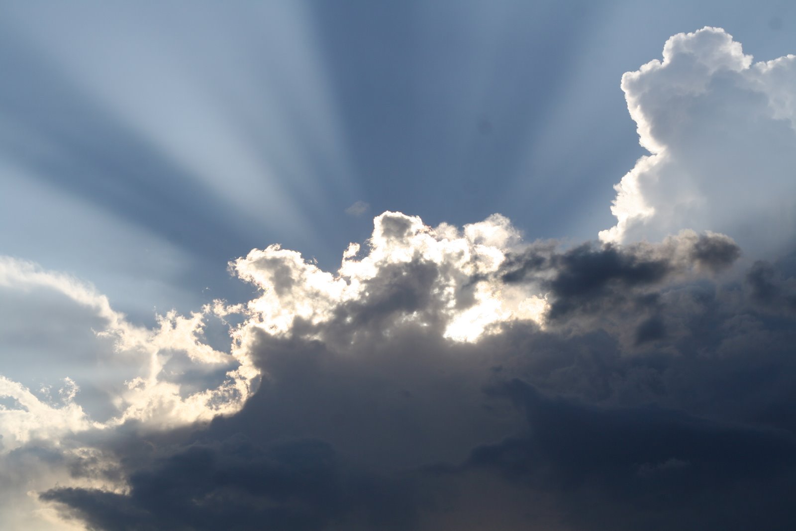 That's Life Enjoy It The sliver lining