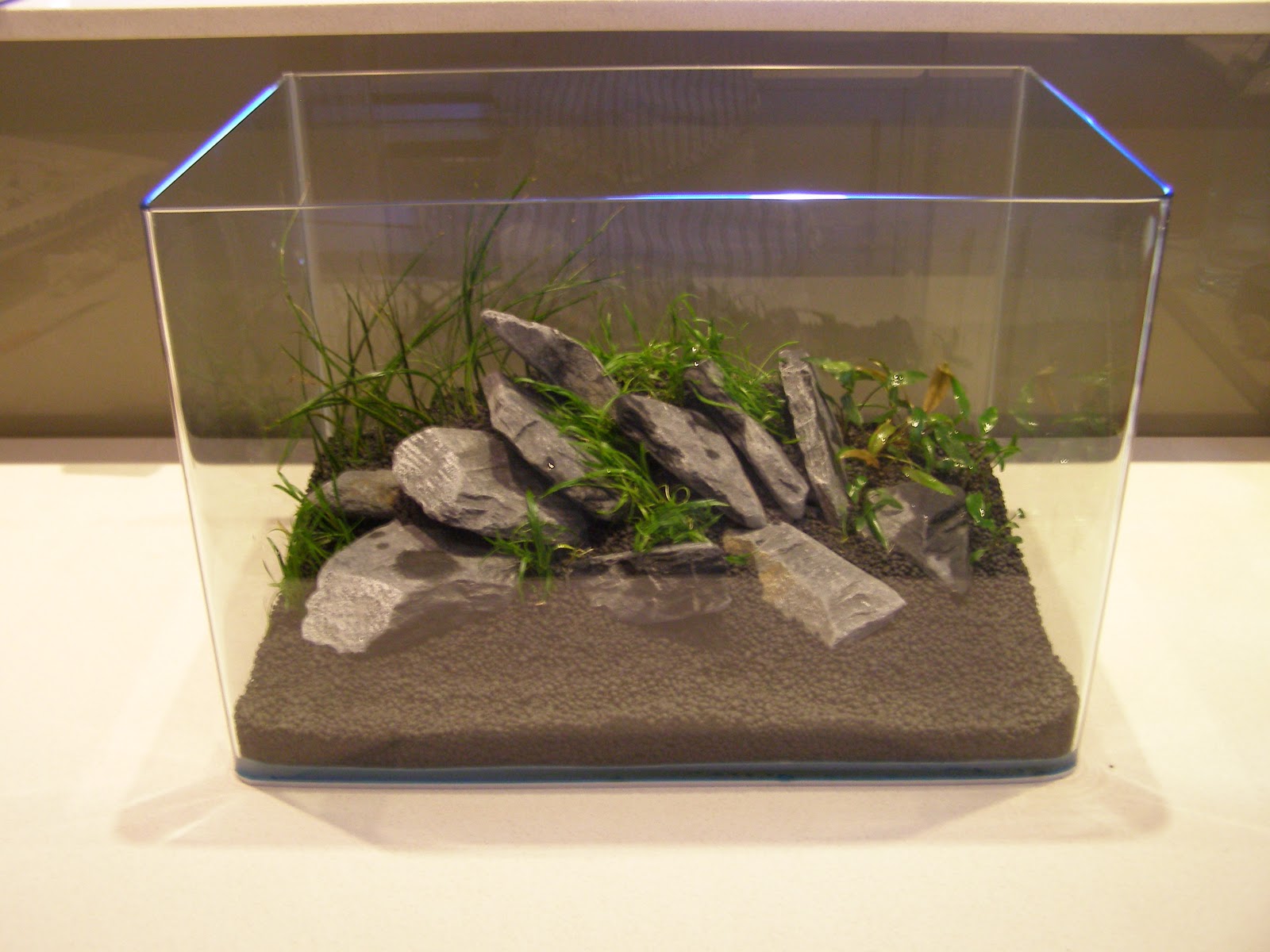 planted nano tank