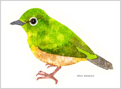鳥のイラストpart1 4 水彩イラストレーター Kae S Blog