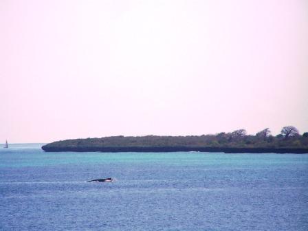 [100_5098.JPG]