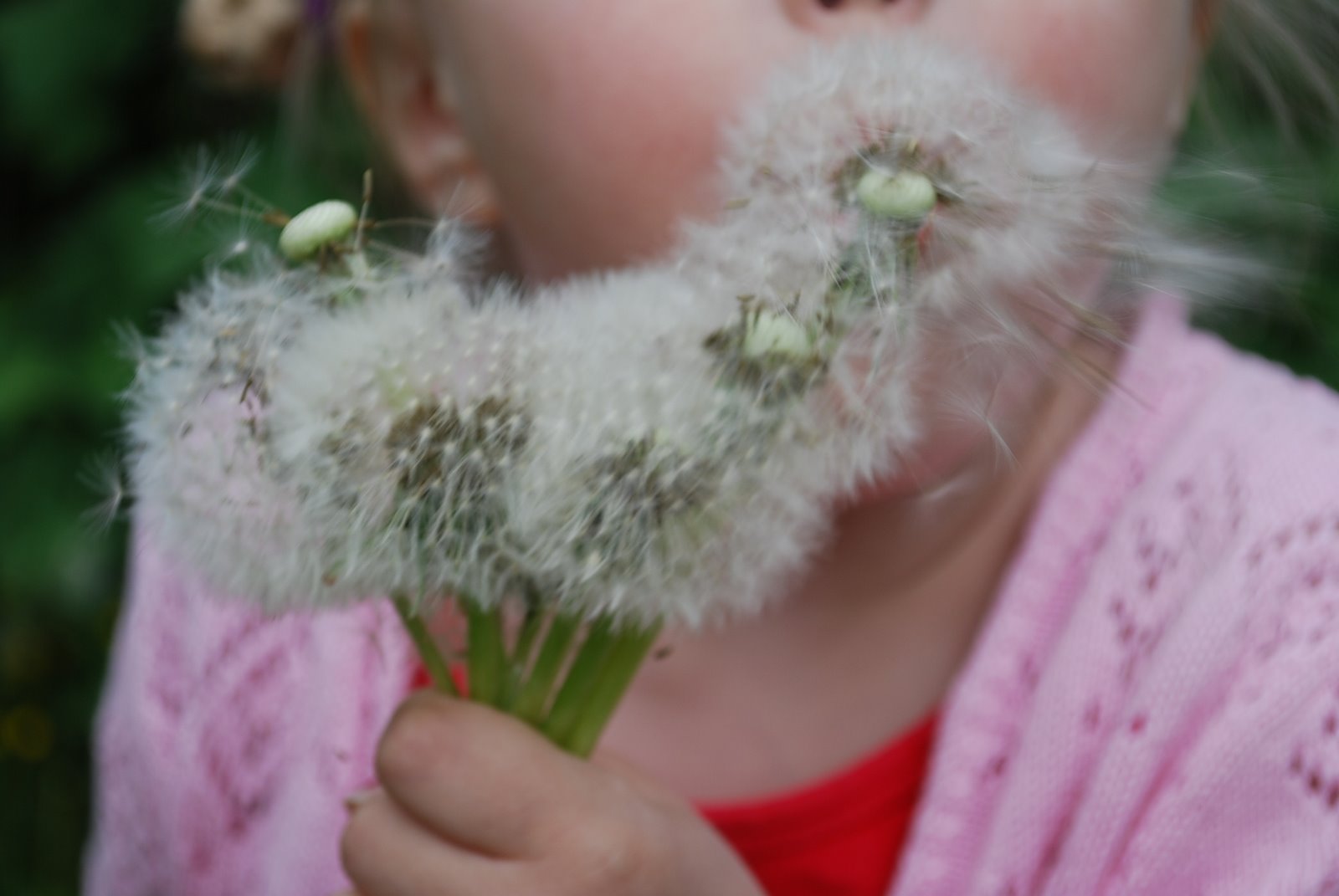 [kesäkuun+toinen+2009+024.JPG]