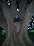 Me in a tree.