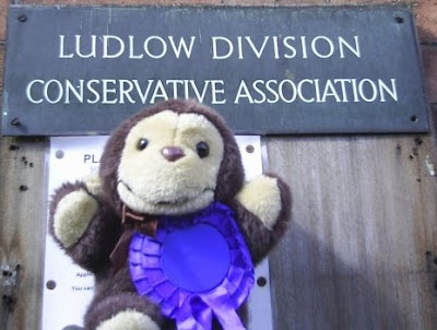 Monkey with a blue rosette: VOTE CONSERVATIVE