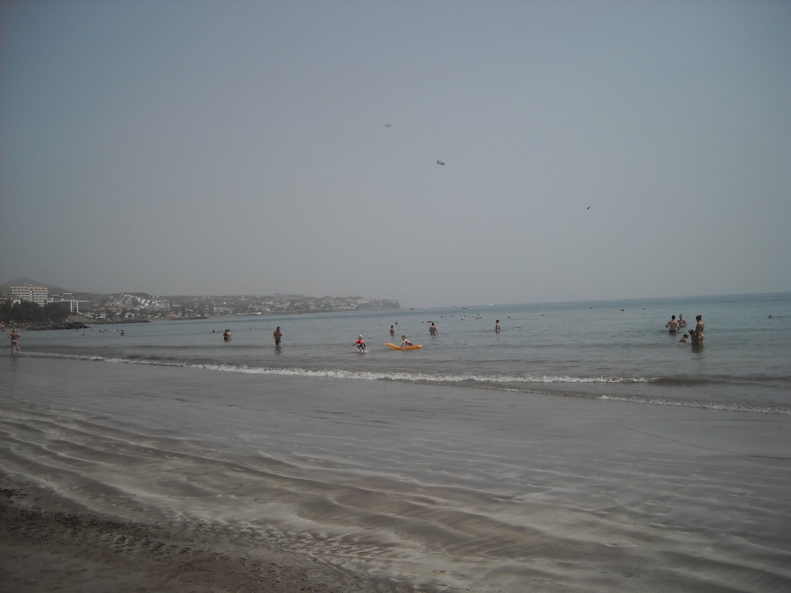 [DSCN3602.JPG]