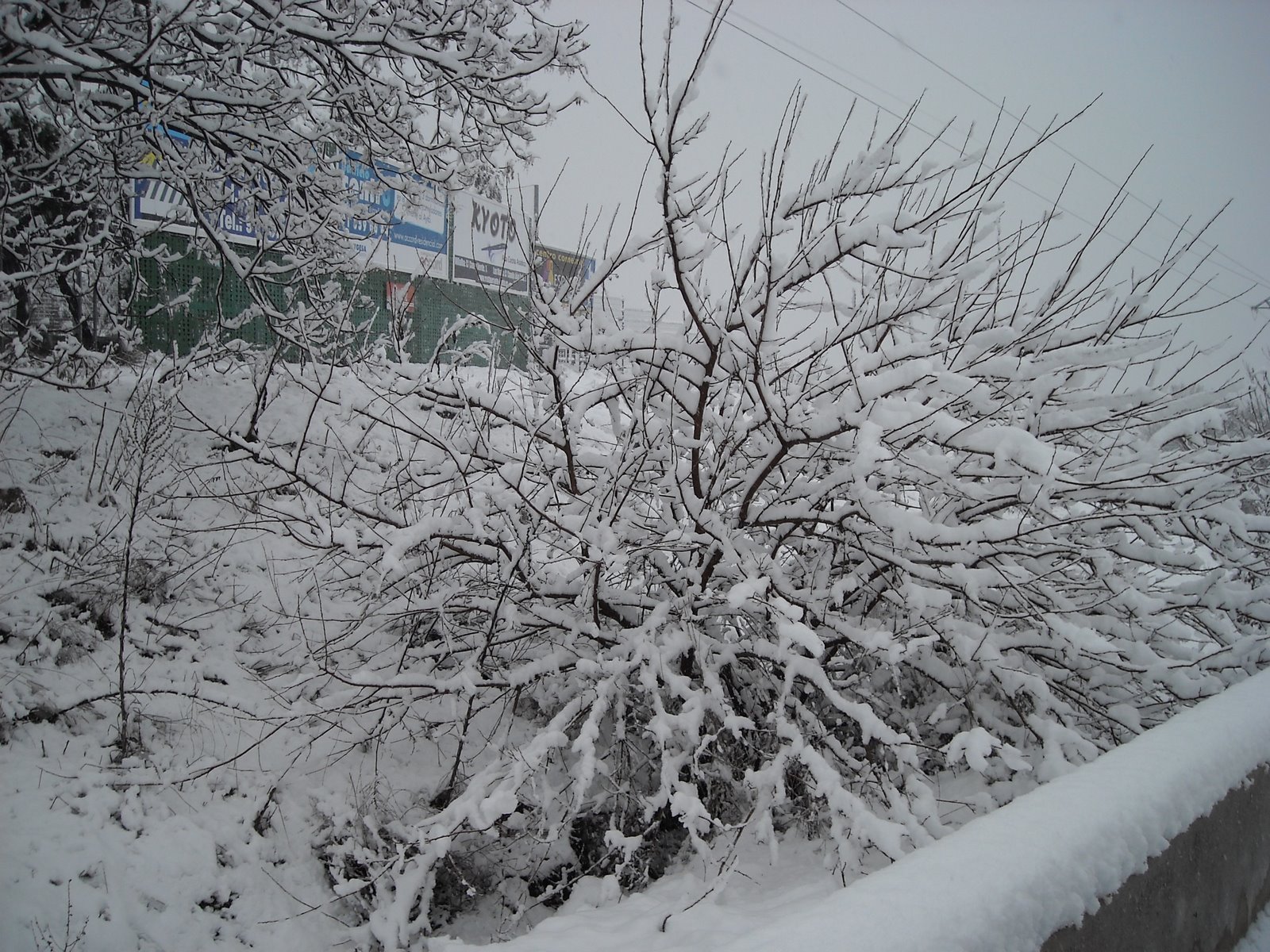 [DSCN0129.JPG]