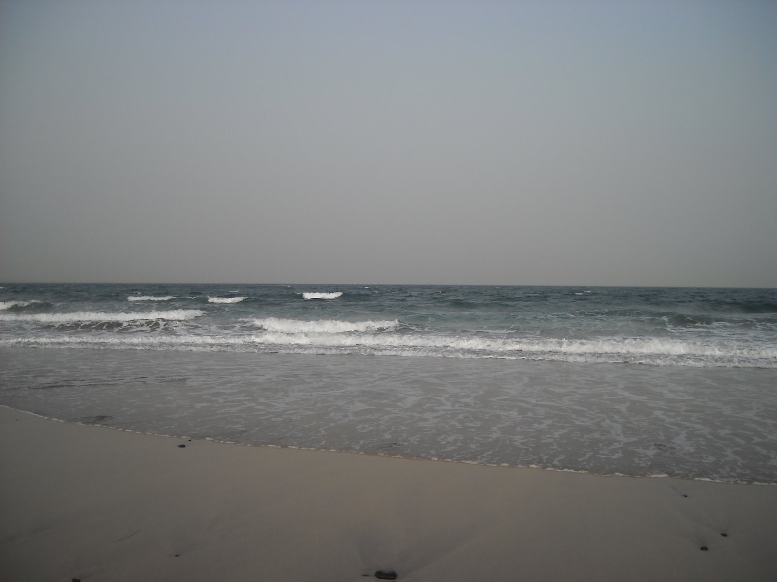 [DSCN0095.JPG]
