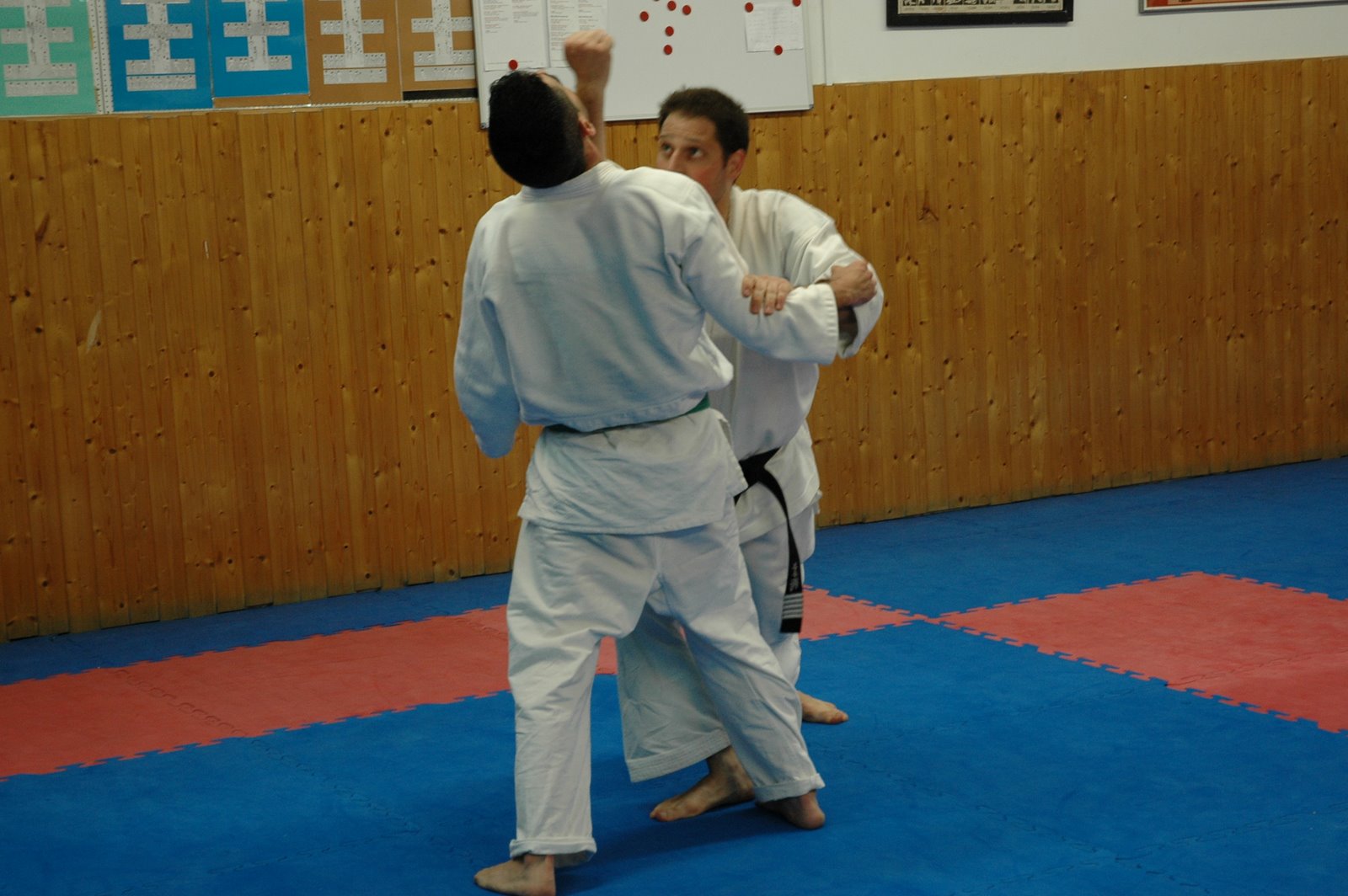 [DSC_8610.JPG]