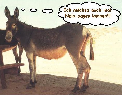 [esel+-+nein+sagen+2.jpg]