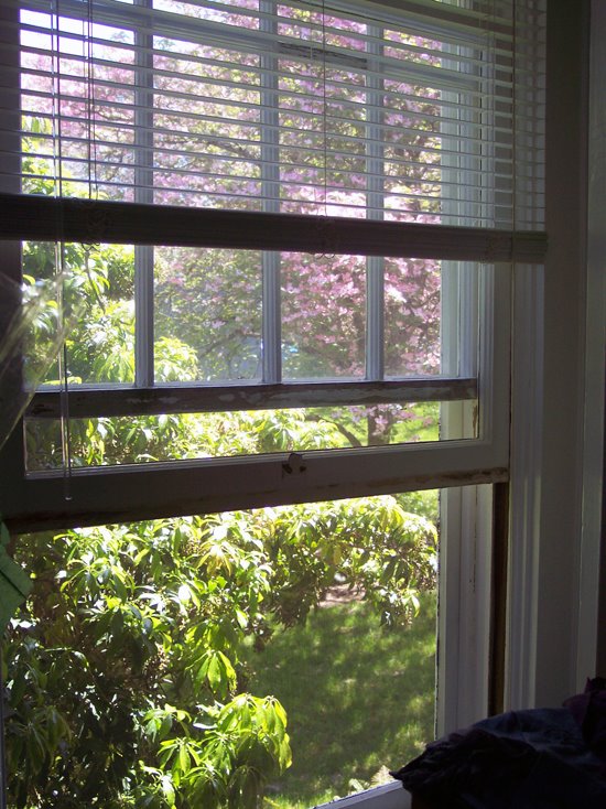 [window.jpg]