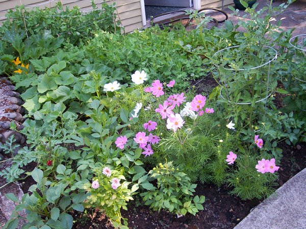 [garden1.jpg]