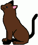 Cat Doodle-Hazelfeather