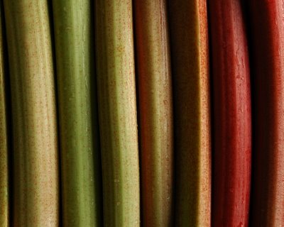 [rhubarb.JPG]