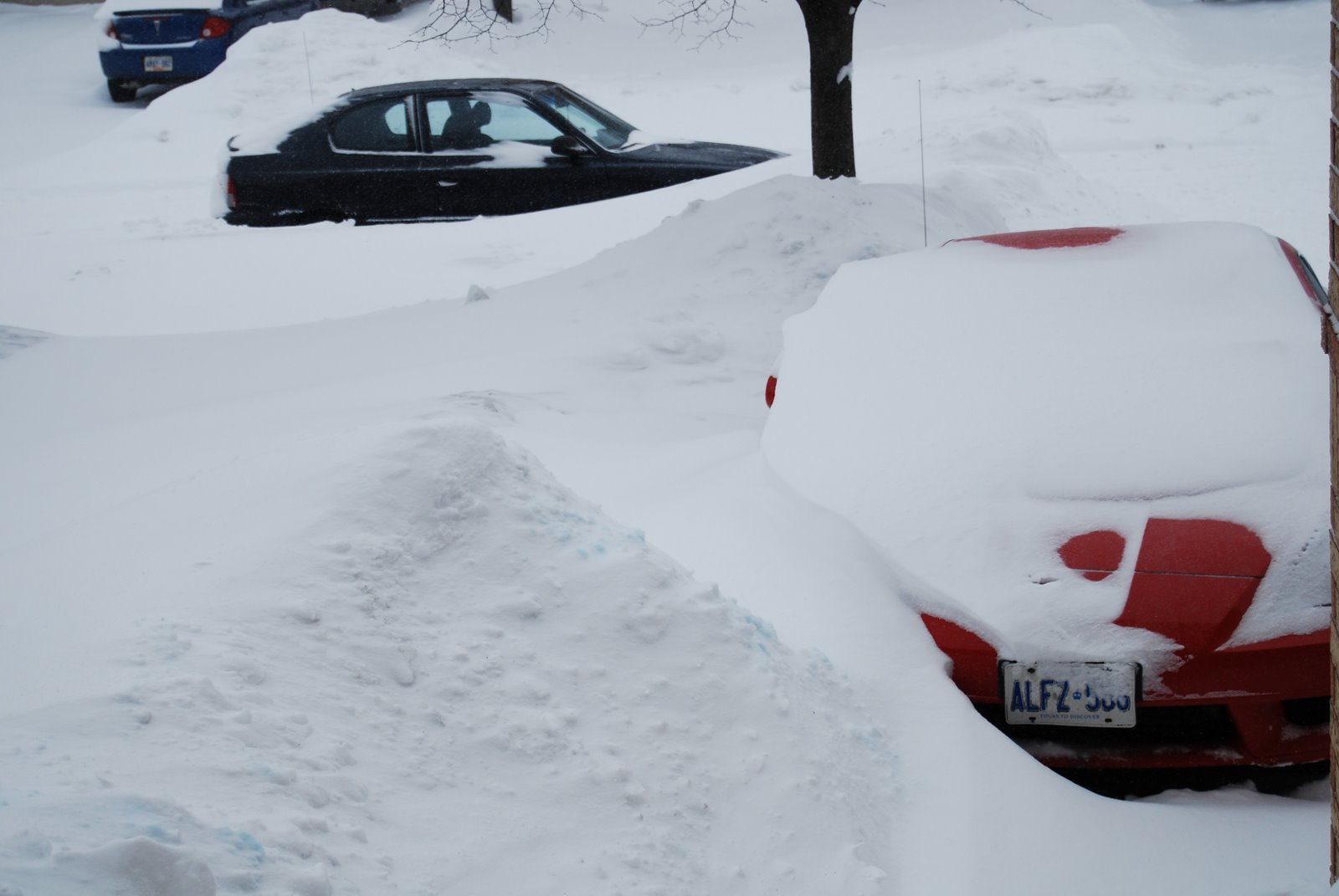 [DSC_0450.JPG]