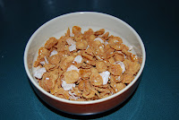 DSC 0185