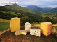 [thumb_fromages-aoc-auvergne.jpg]
