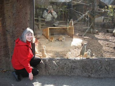 Military hat printable patterns - general knowledge printable