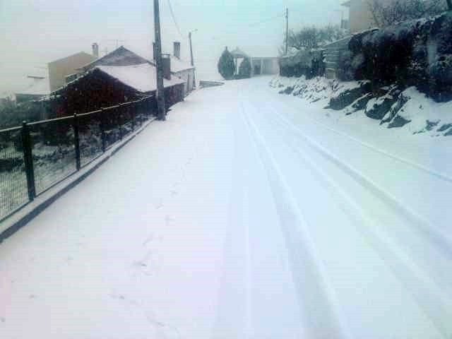 [P100110_14.230001.JPG]