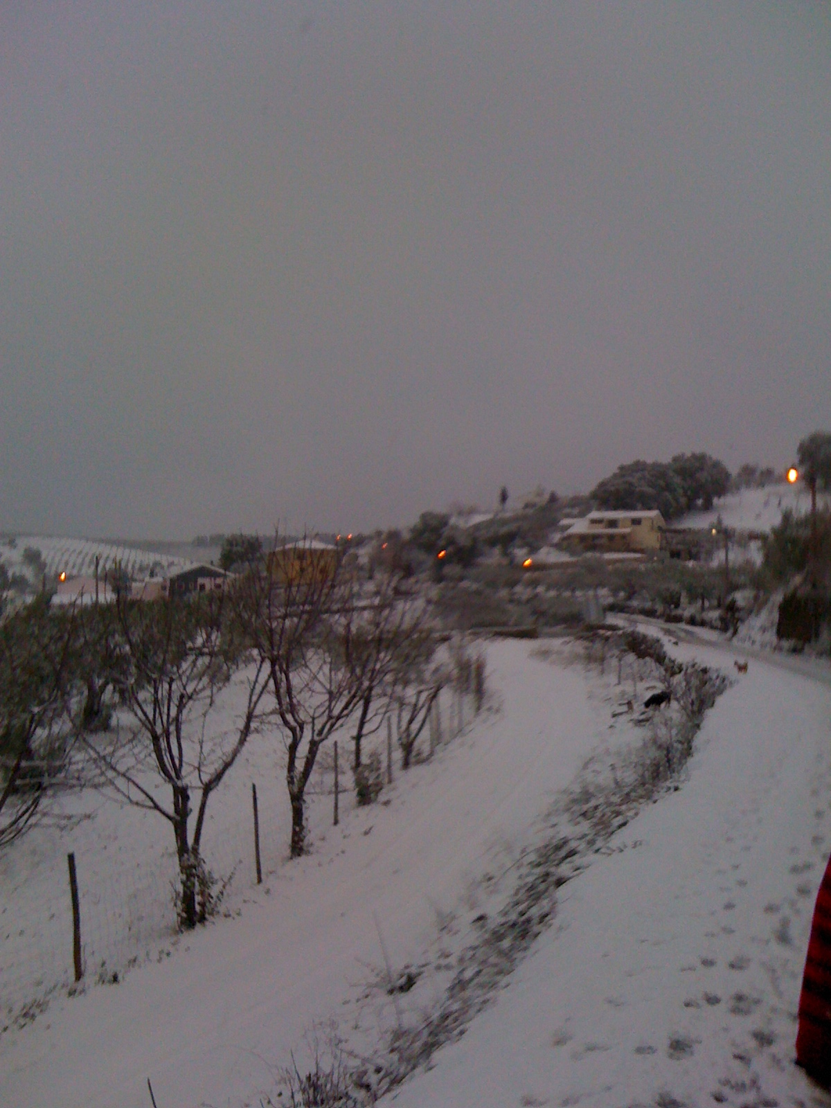 [IMG_0567.JPG]