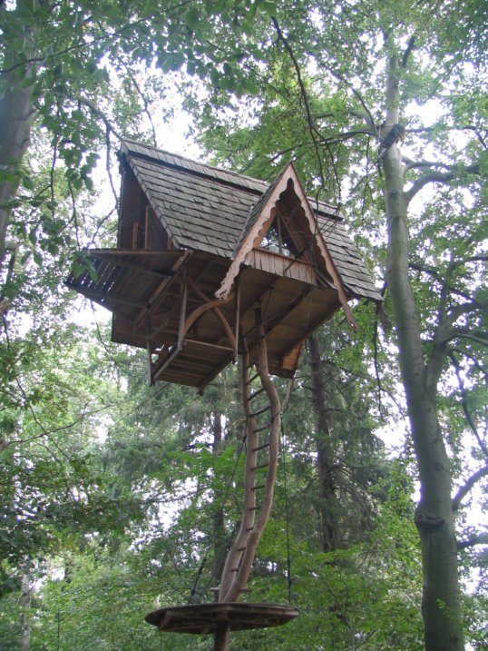 [treehouse+12.bmp]