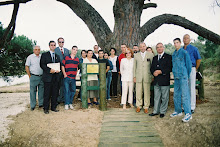 PINHEIRO MANSO CLASSIFICADO