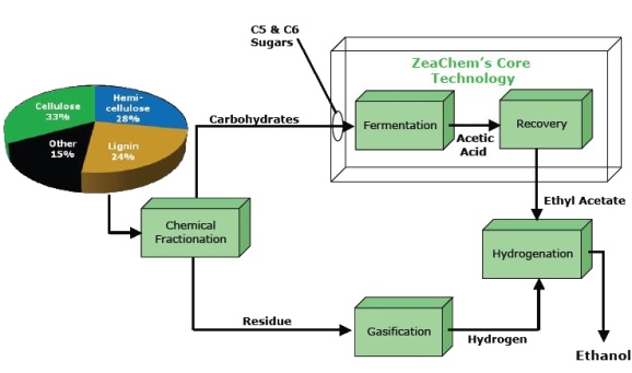 [zeachem+technologies+propres+biocarburant+enzymes+termites.JPG]