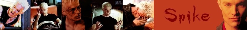 banner de spike