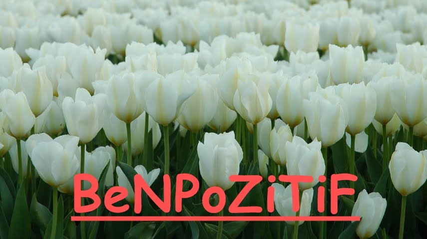 BeNPoZiTiF