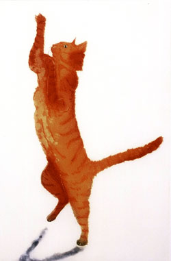 [catdance0.jpg]