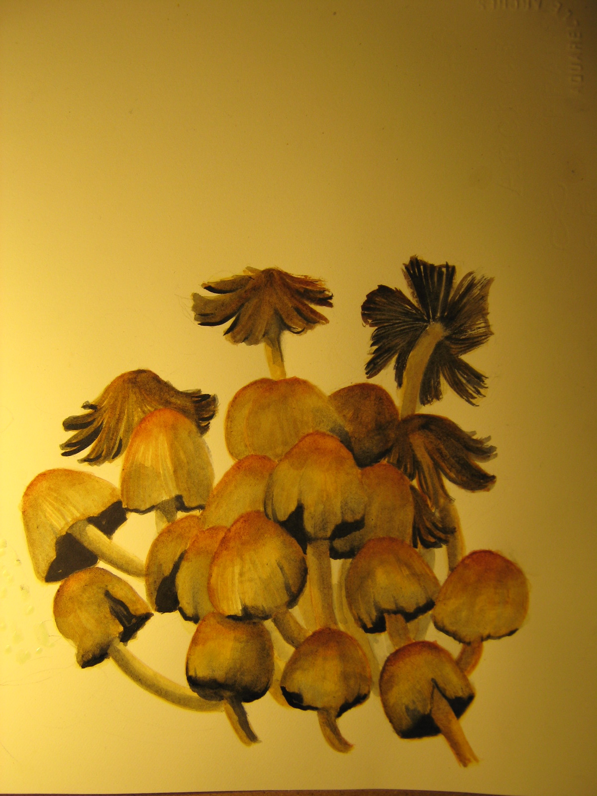 [IMG_4450.JPG]